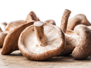  All About 'Shrooms!